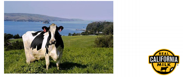 Backendcookingschooljp_image_upload